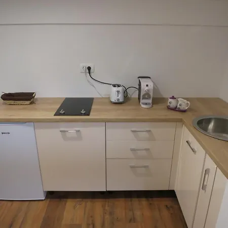 Apartamento Turisticna Kmetija Izgorsek *
