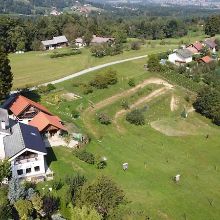 Appartamento Turisticna Kmetija Izgorsek *